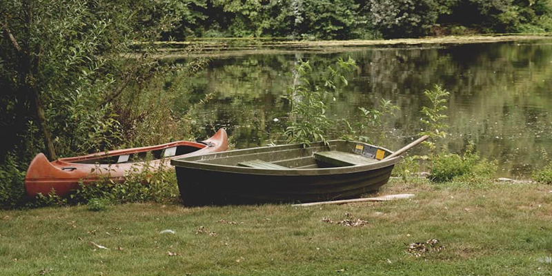 Lilypad Adventures